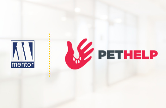 PETHELP – startup, który zrewolucjonizował branżę weterynaryjną i zmieni oblicze branży ubezpieczeń